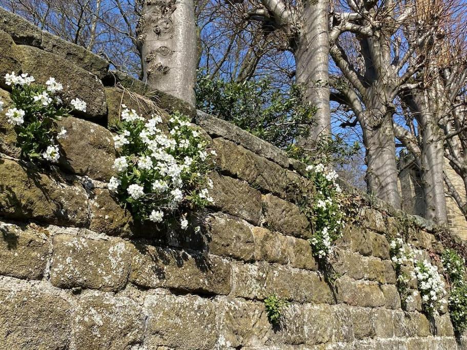 Garden Cottage - Ashover Village Near Matlock Chesterfield Eksteriør bilde